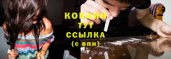 дживик Семилуки
