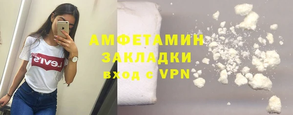 ГАЛЛЮЦИНОГЕННЫЕ ГРИБЫ Горняк