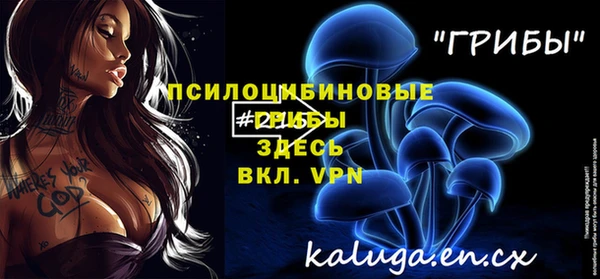 spice Горнозаводск