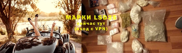 ГАЛЛЮЦИНОГЕННЫЕ ГРИБЫ Горняк