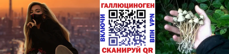 Псилоцибиновые грибы мухоморы  Мценск 